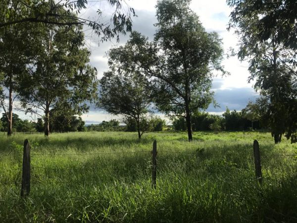Terreno Venda Próximo a Rodovia para Campos de Jordão  Tremembé SP