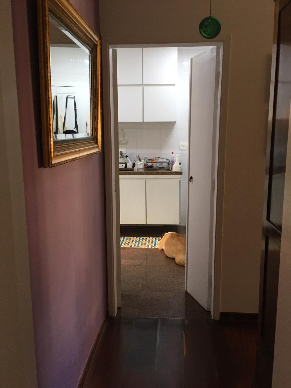 Apartamento Venda 3 Dormitórios 1 Suíte 2 Banheiros 2 Vagas Moema SP Apartamento Venda 3 Dormitórios 1 Suíte 2 Banheiros 2 Vagas Moema SP