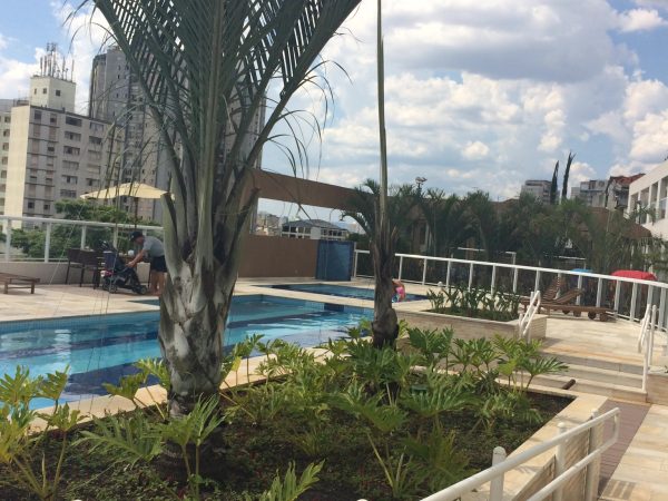 Apartamento  Venda 3 Dormitórios 1 Suíte 2 Banheiros 2 Vagas Lazer Aclimação SP