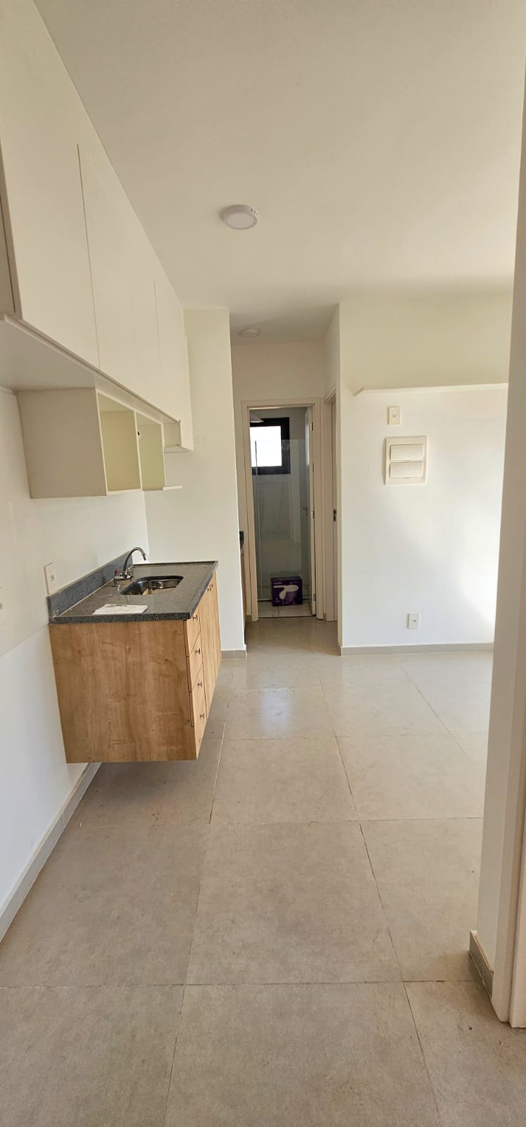 Apartamento para Venda 2 Dormitórios Miolo Ipiranga SP Apartamento para Venda 2 Dormitórios Miolo Ipiranga SP