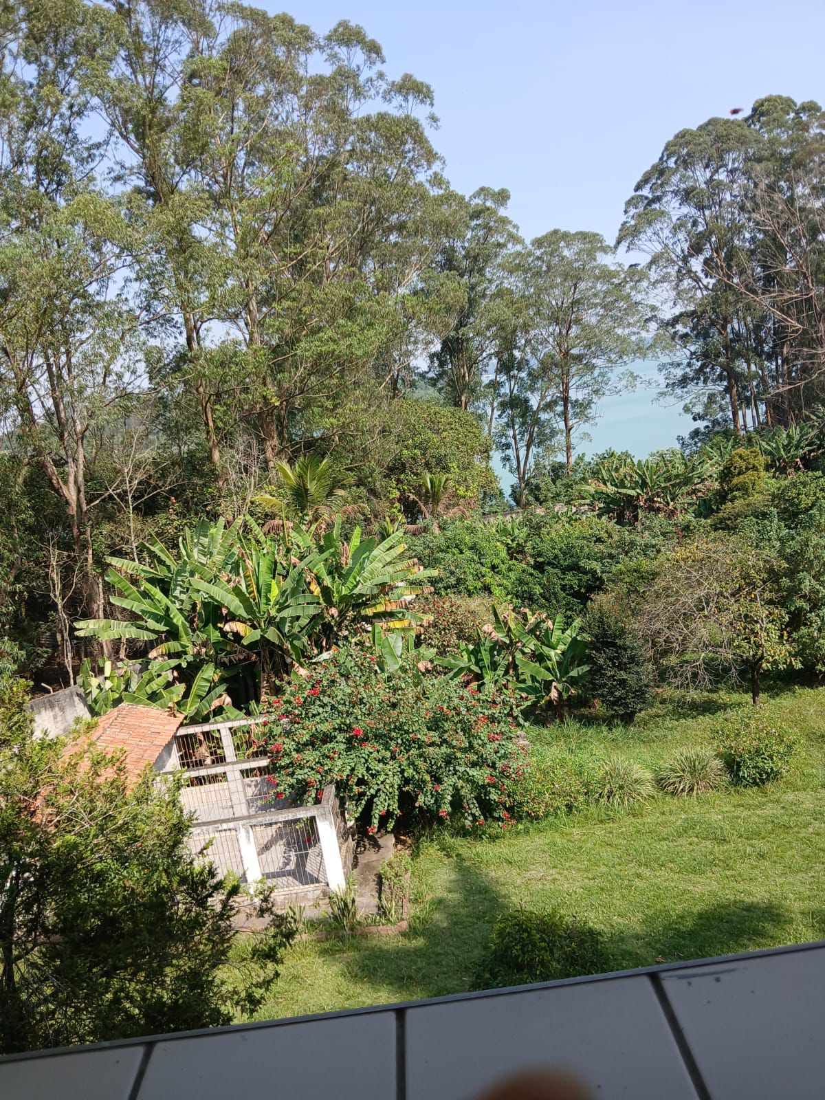 GALPÃO INDUSTRIAL PARA LOCAÇÃO E VENDA – SÃO BERNARDO DO CAMPO/SP