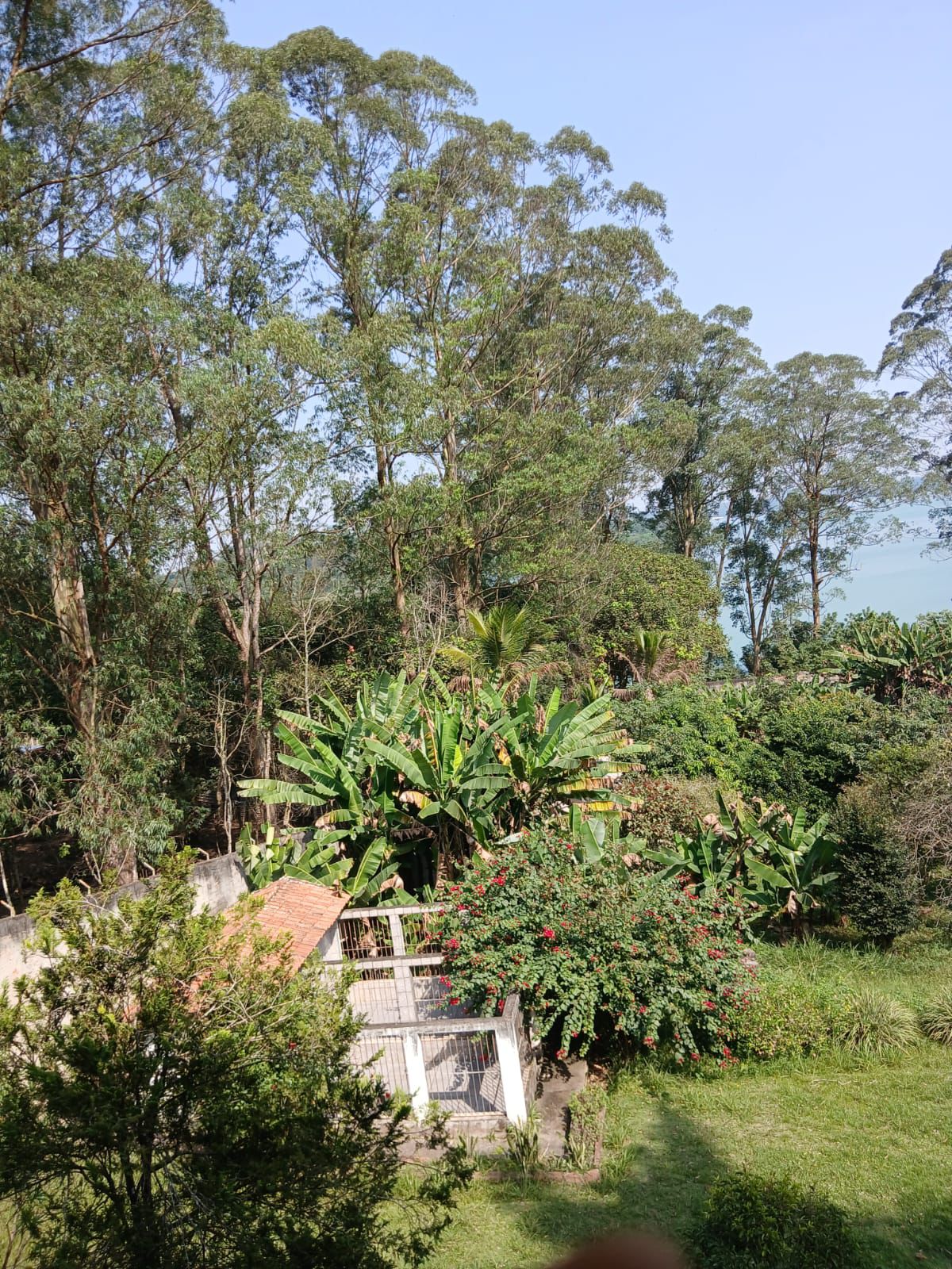 GALPÃO INDUSTRIAL PARA LOCAÇÃO E VENDA – SÃO BERNARDO DO CAMPO/SP